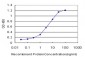 ENG Antibody (monoclonal) (M01)